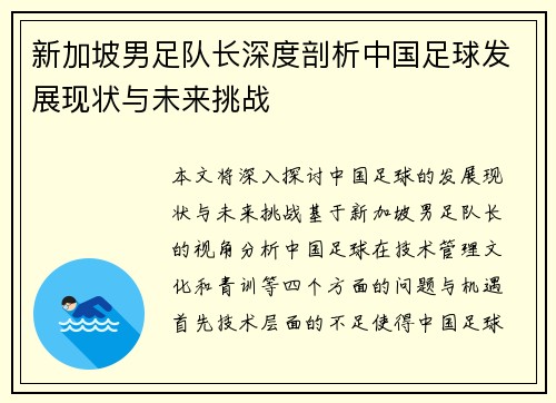 新加坡男足队长深度剖析中国足球发展现状与未来挑战